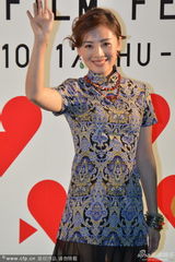 组图：导演宁瀛携《警察日记》剧组亮相绿毯