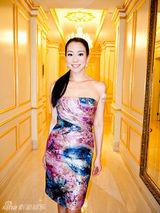 组图：吴辰君抹胸彩裙高贵典雅 与李晨为座驾颁奖