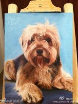 组图：孙俪微博晒画作惊艳网友 何炅赞才女