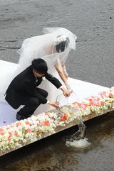 高清图：张杰谢娜香格里拉大婚全程回顾