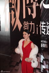 组图：2012新浪微博之夜红毯-颜丹晨