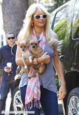 组图：帕丽斯-希尔顿怀揣两爱犬心花怒放玩得欢 