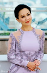 组图：《过界》戛纳见面会 刘嘉玲紫裙优雅