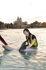 组图：张静初与海豚水中共舞 亲密接吻羡煞旁人