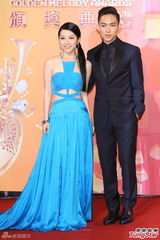 群星亮相金曲奖红毯 蔡依林美腿梁静茹性感(图)