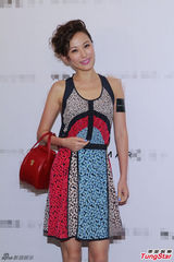 组图：陈慧琳担心梁家辉伤势 李治廷敢追范冰冰