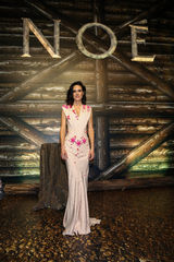 组图：《诺亚方舟》超前首映 达伦激情回应误读