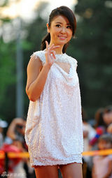 组图：《精忠岳飞》将播 黄晓明拄拐亮相红毯