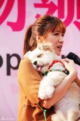 组图：主持悦悦为小狗路路寻家 领养代替买卖