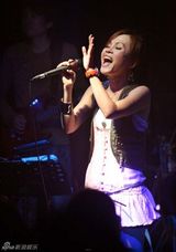幻灯图集：彭佳慧台北唱享会 魅力四射征服现场