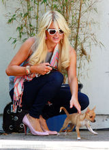 组图：帕丽斯-希尔顿怀揣两爱犬心花怒放玩得欢 