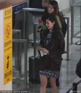 组图：李嘉欣捞金后赶飞机 青花瓷短裙美腿抢眼