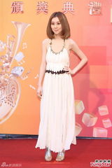 群星亮相金曲奖红毯 蔡依林美腿梁静茹性感(图)