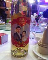 组图：何云伟再婚娶美貌在读研究生 变妻管严