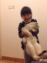 组图：森碟举肥猫抱小老虎 女汉子爱护小动物