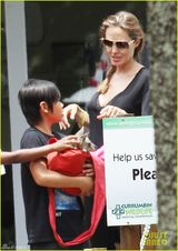 组图：朱莉皮特携孩子们游玩 一家八口声势浩大