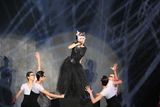 组图：尚雯婕再登国际舞台 《黑天鹅》开场压轴走秀