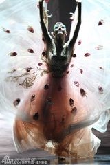 组图：杨丽萍收官制作《孔雀》再现经典