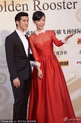 组图：张静初红裙甜美 挽李治廷现身红毯