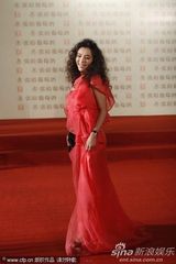 幻灯组图：上海电影节开幕 张静初爆炸头亮相