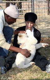 幻灯图集：世界杯今夜闭幕 夏拉奇和吉祥物一起亮相