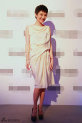 组图：许晴现身护肤品发布会 裸色长裙似女神