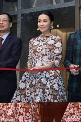 组图：章子怡避谈恋情 刘嘉玲送祝福