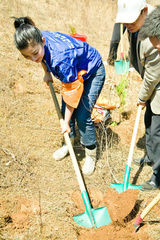 高清图：黄奕任绿色出行大使 植树414棵为玉树祈福