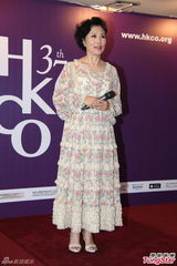 组图：汪明荃与中乐团人士一齐出席午餐会