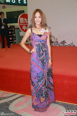 前亚姐亮相落座各自走光 罗霖公款遭亏空(图)