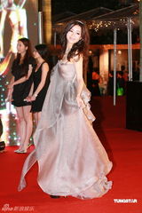 幻灯：香港金像奖颁奖红毯 张静初长裙飘逸