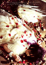 高清组图：中岛美嘉写真化身叛逆天使 浪漫神秘