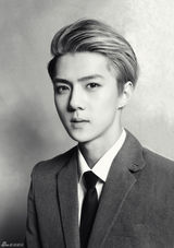 高清组图：EXO首张正规专辑高清写真曝光