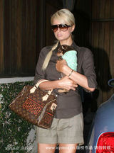 幻灯图集：帕丽斯-希尔顿与宠物狗形影不离