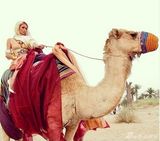 组图：希尔顿迪拜度假显奢华 骑骆驼秀私人飞机