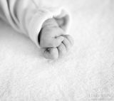 组图：李小璐一家三口甜蜜温馨照曝光